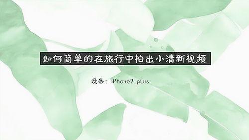 小清新在线视频,治愈心灵，邂逅美好时光