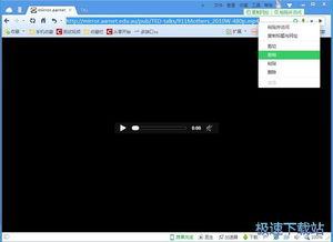 在线视频如何看url,一探究竟