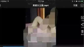 黄鳝门在线视频 下载,网络奇观背后的真相与反思