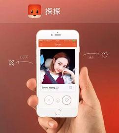 探探在线视频观看,解锁社交新体验