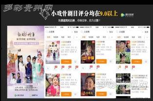 都匀十二在线视频,文化传承与时代风采的完美融合