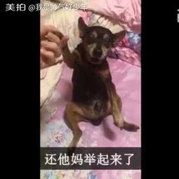 美拍小鹿鹿在线视频,魅力四溢的在线舞蹈盛宴